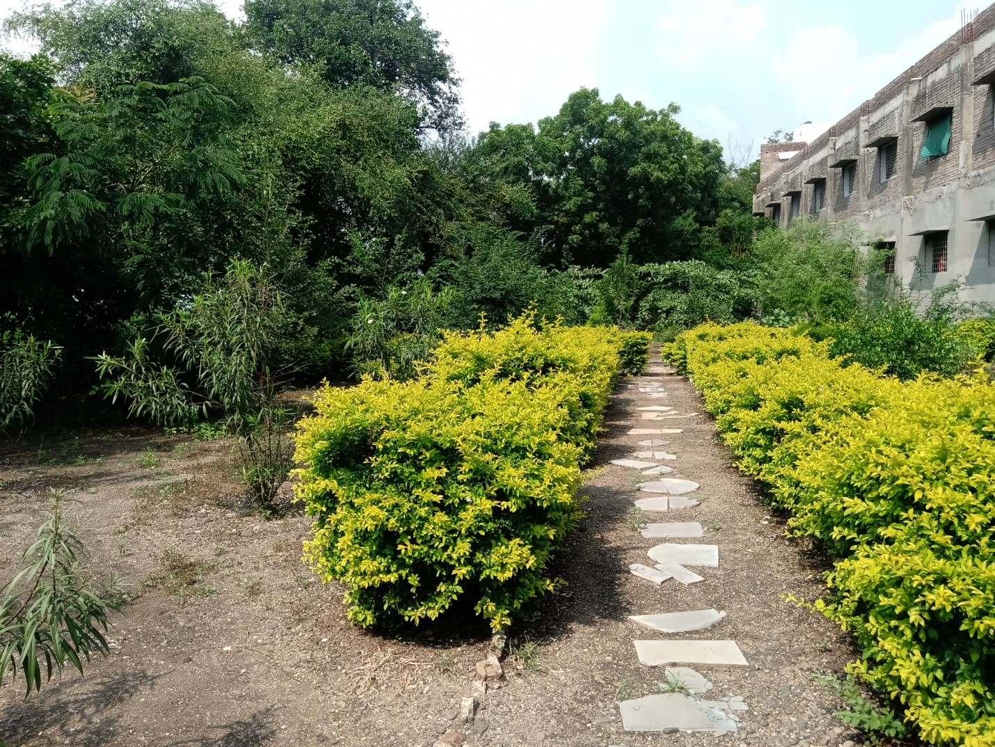 Botanical 2